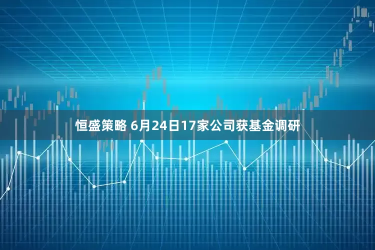 恒盛策略 6月24日17家公司获基金调研